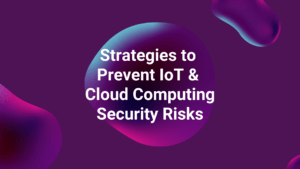 Strategies to Prevent IoT & Cloud Computing Security Risks